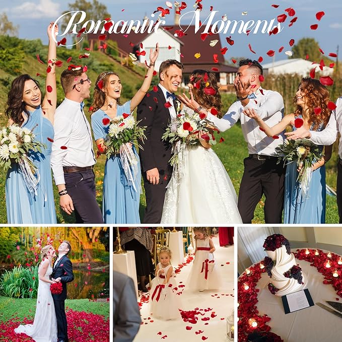 3.5 Oz Dried Rose Petals Wedding Biodegradable Petals, Natural Preservation Real Flower Petals, Suitable for Flower Petals for Flower Girl, Romantic Night, Table Decoration (Red, 100g)