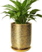 Indoor Plant Pot 8 Inch - Ceramic Planter for Indoor Outdoor Flowers, Round Modern Flower Pot with Drainage Hole and Saucer, Gifts for Plants Lovers, Garden Room Decor, Gold