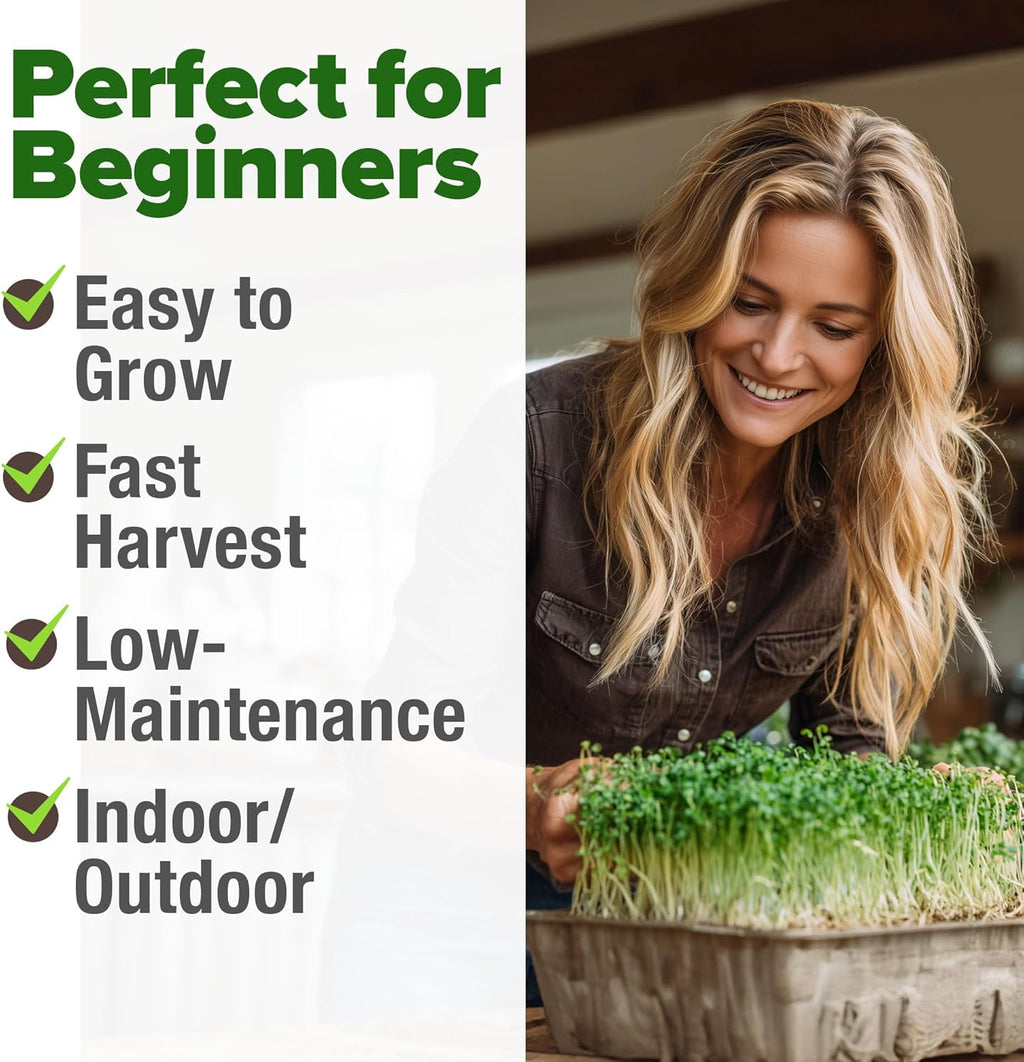 HOME GROWN Premium Sprouting Seeds Mix - Microgreens Seeds for Indoor Growing - Non-GMO Broccoli, Alfalfa, Radish, Clover Sprouts Seed - 16oz Resealable Pack for Healthy Salad & Juicing