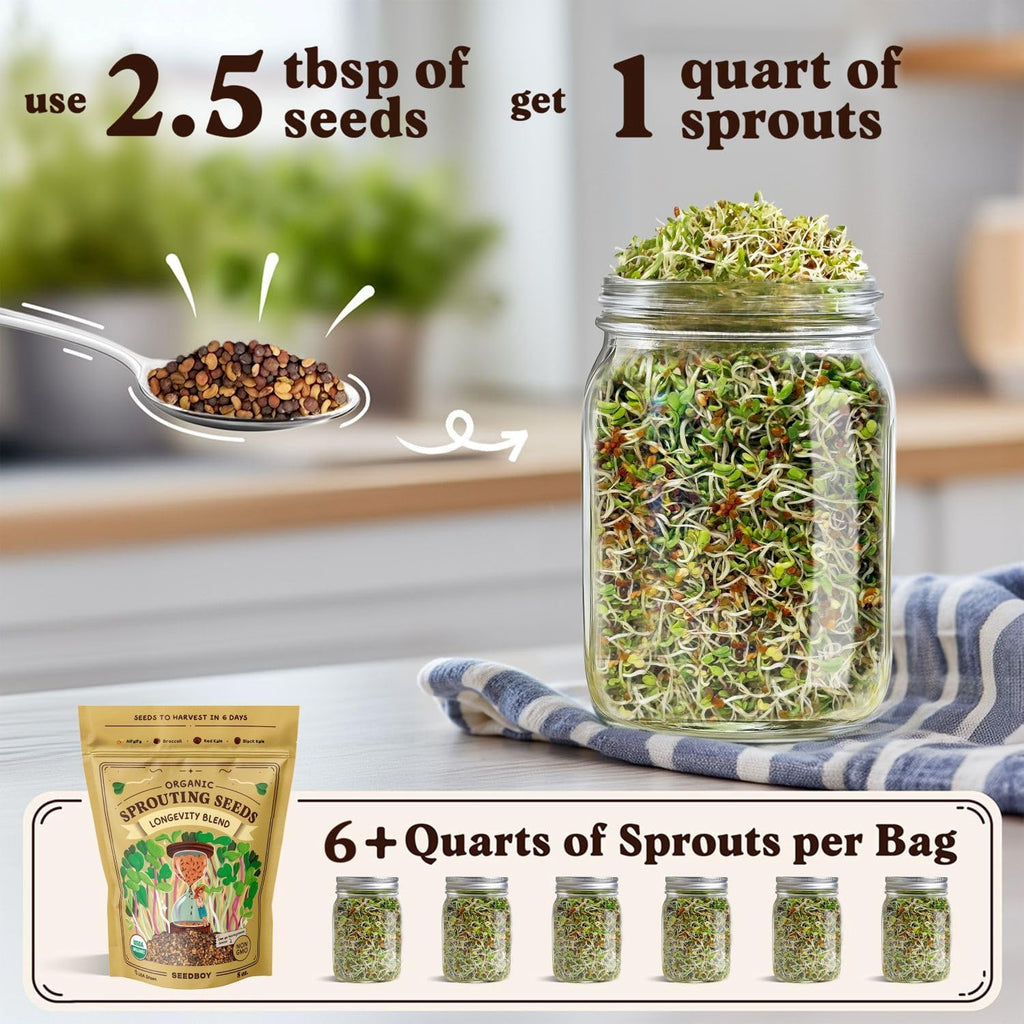 Seedboy Organic Non-GMO Sprouting Seeds, Longevity Blend – USA Grown Microgreens Mix with Broccoli, Red Kale, Black Kale, Alfalfa - 8 oz Bag Makes 6 Quarts / 20 Servings (Longevity Blend)