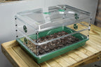 EarlyGrow 24" x 15" x 12.75" Domed Propagator with 2 Height Extenders and Locking Clip Set, Green