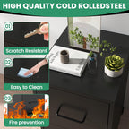 2-Drawer Mobile File Cabinet with Lock & Wheels,Under Desk File Cabinets for Home Office,Steel Rolling Cabinet for Legal/Letter Files(Black)