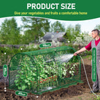 SPECILITE 98x49x49in Garden Plant Netting Mesh Cover for Raised Bed with Roll-up Zipper Door for Vegetables Fruits, Large Tunnel Gardening Net, Green