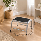 Premier Housewares Leecroft Metal Step-up Stool, H25 x W43 x D35cm, Silver