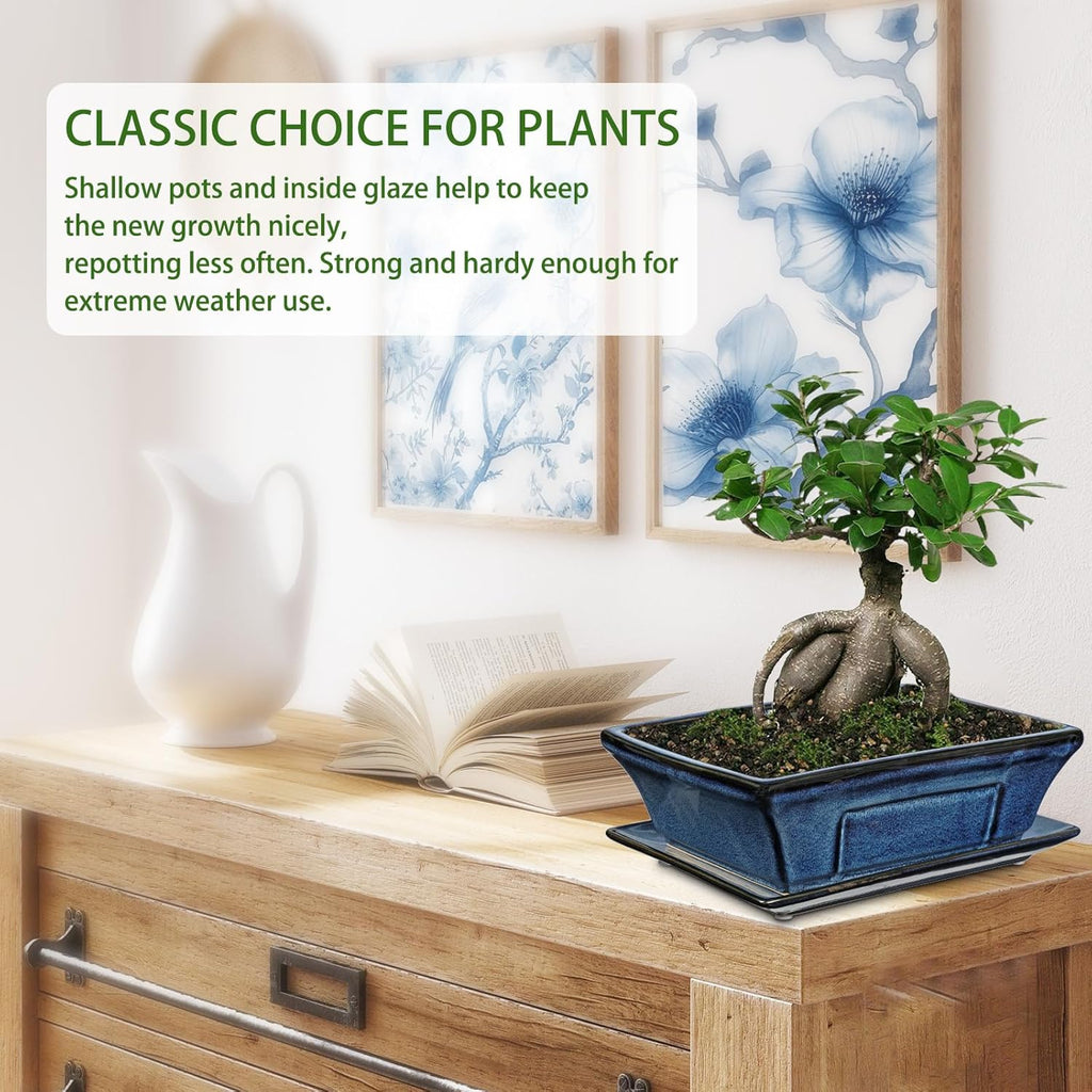 Large Ceramic Bonsai Pots with Drainage Trays Set of 2, 10" Blue Glazed Bonsai Planters for Indoor/Outdoor Use, Rectangular Shallow Bonzai Tree Pot for Succulent, Orchids, Cacti, Home, Patio, Garden
