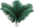 Ballinger Blackish Green Ostrich Feathers Bulk- 24pcs 12-14inch Big Feathers for Wedding Party Centerpieces Christmas Decor