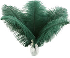 Ballinger Blackish Green Ostrich Feathers Bulk- 24pcs 12-14inch Big Feathers for Wedding Party Centerpieces Christmas Decor