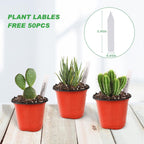 TDHDIKE Plastic Planter Nursery Pots 4" Small (50pcs) Seedlings Flower Pots Container Seed Starting Pots for Plants Come with 50pcs Labels