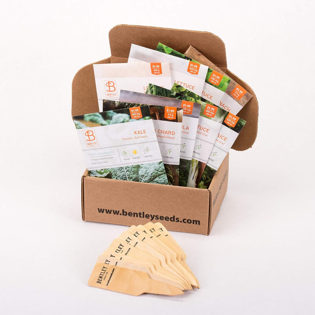 Seed Starter Kit – Salad Greens | Non-GMO | Heirloom Seed Packets | Natural Wood Row Markers | Over 100 Square Feet of Salad Greens
