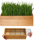 Wooden Cat Grass Planter (no Seeds Included) with Potting Soil Disks, Anti-Digging Grid and Removable Plastic Liner, Wheat Grass Growing Pot, Cat Grass Kit for Indoor Cats Pets (Aged Yellow)