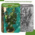2 Pack Plant Covers Freeze Protection, 40"W x 45"H Winter Frost Blanket 2.36 oz/yd² Fabric Frost Cloth Tree Covers Shrub Jacket Bag with Zipper & Drawstring for Plants Fruit Tree Shrub Potted - Green