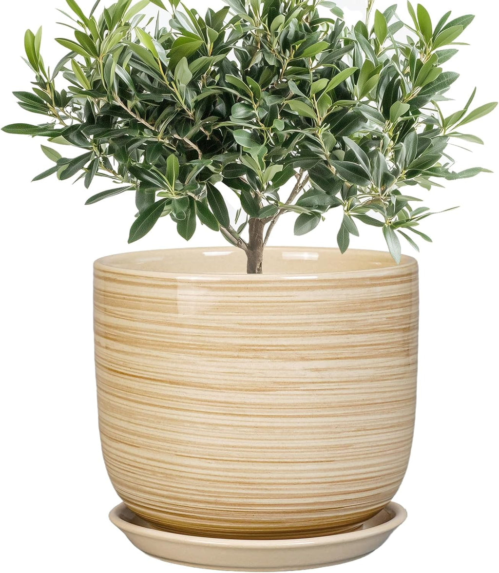 Indoor Plant Pot 8 Inch - Cylinder Modern Ceramic Planter for Indoor Outdoor Plants with Drainage Hole and Saucer, House Office Home Room Desk Decor, Yellow