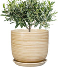 Indoor Plant Pot 8 Inch - Cylinder Modern Ceramic Planter for Indoor Outdoor Plants with Drainage Hole and Saucer, House Office Home Room Desk Decor, Yellow