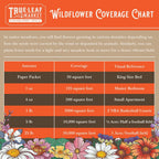 All Annual Wildflower Mix Seed for Planting - 1 Lb ~16,000+ Seeds - 21 Varieties Including California Poppy, Indian Blanket, Scarlet Flax, & More - Attracts Pollinators - Bulk Wildflower Seeds