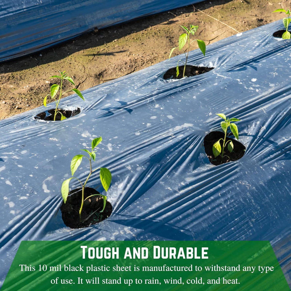Farm Plastic Supply - Black Plastic Sheeting - 10 mil - (24' x 100') - Polyethylene Vapor Barrier Sheeting, Black Painters Tarp, Roll of Heavy Duty Plastic