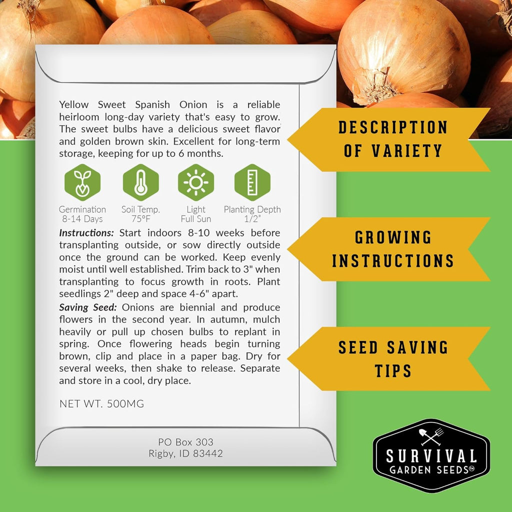 Yellow Sweet Spanish Onion Seed for Planting - 5 Packets with Instructions to Plant and Grow Long Day Onions in Your Home Vegetable Garden - Non-GMO Heirloom Variety - Survival Garden Seeds