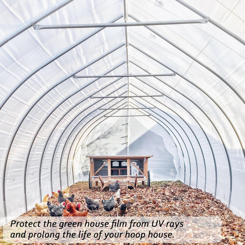 6 Mil Clear Greenhouse Plastic Sheeting,Transparent Plastic Film for Greenhouse, Resistant Polyethylene Film for Farm,Garden (6.5ftx19.7ft)