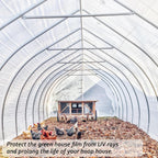 6 Mil Clear Greenhouse Plastic Sheeting,9.8FTx19.7FT Transparent Plastic Film for Greenhouse, Resistant Polyethylene Film for Farm,Garden…