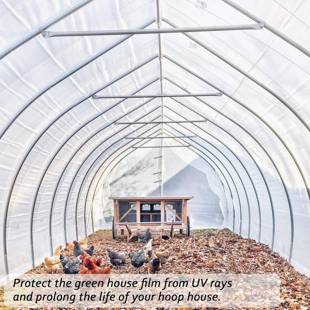 6 Mil Clear Greenhouse Plastic Sheeting,9.8FTx19.7FT Transparent Plastic Film for Greenhouse, Resistant Polyethylene Film for Farm,Garden…