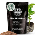 DYNOMYCO Granular Mycorrhizal Fungi Inoculant, 340g / 12oz – Boosts Root Growth, Yields & Nutrient Uptake – 900 Propagules/g, Concentrated Granules, & OMRI Listed – Biofertilizer for Plant Growth