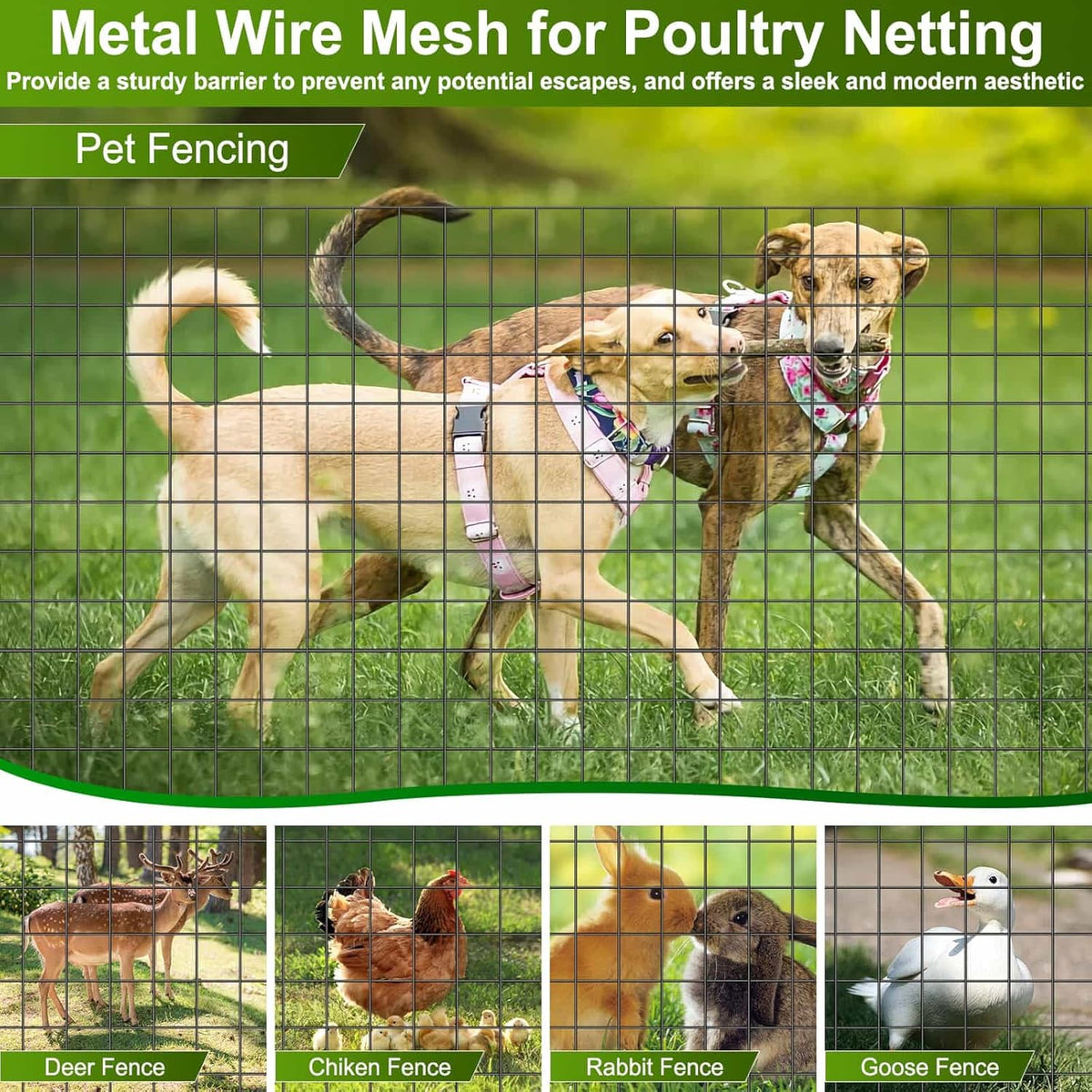 Black Welded Wire Fence 36 Inch x 59 Foot, 2.4" x 2.4" 14GA PVC Coated Wire Fencing for Garden Bed, Vinyl Coated Metal Wire Mesh Roll for Yard Vegetable Plant Protection Chicken Dog Poultry Netting