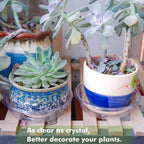 Plant Saucer 20 Pack Plant Trays for Pots 6 Inch Plastic Plant Saucers for Outdoors and Indoors Clear Drip Trays for Potted Plants Flower Pot Plates to Catch Water Plant Drainage Dishes No Holes