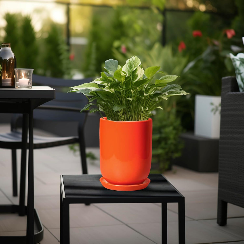 Ceramic Planter - 8 Inch Plant Pot with Drainage Hole and Saucer, Cylinder Round Modern Flower Pot for Indoor Outdoor Plants, Plant Lover Gifts, Garden Office Home Decor, Orange