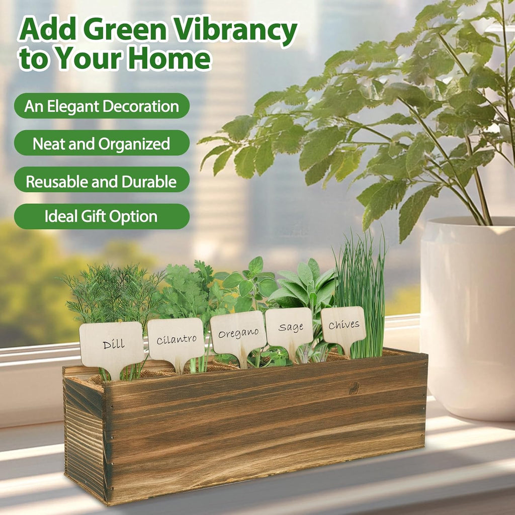 5 Herb Garden Planter Indoor with Wooden Box, Home Kitchen Seed Starter Kit Including Dill, Cilantro, Oregano, Sage, Chives, Birthday, Mothers Day, House Warming, Gardening Gifts for Women, Mom