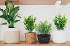 Ouddy Decor 6 Bundles Artificial Greenery Stems Mixed Fake Plastic Plants Eucalyptus Rosemary Faux Magnolia for Outdoor Indoor Garden Home Window Box Decor