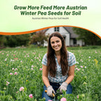 Outsidepride Austrian Winter Peas Seeds for Planting – 1 lbs Bag (Cool-Season Cover Crop, High-Protein Deer Food Plot Seed) Field Peas, Cover Crop Seeds, Spring Mix for Soil Health & Forage