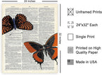 Poster Master Dictionary Art Poster - Butterflies Print - Moth Art - Butterfly Art - Insect Art - Gift for Men, Women & Animal Lover - Chic Decor for Living Room or Bedroom, 24x32 Unframed Wall Art