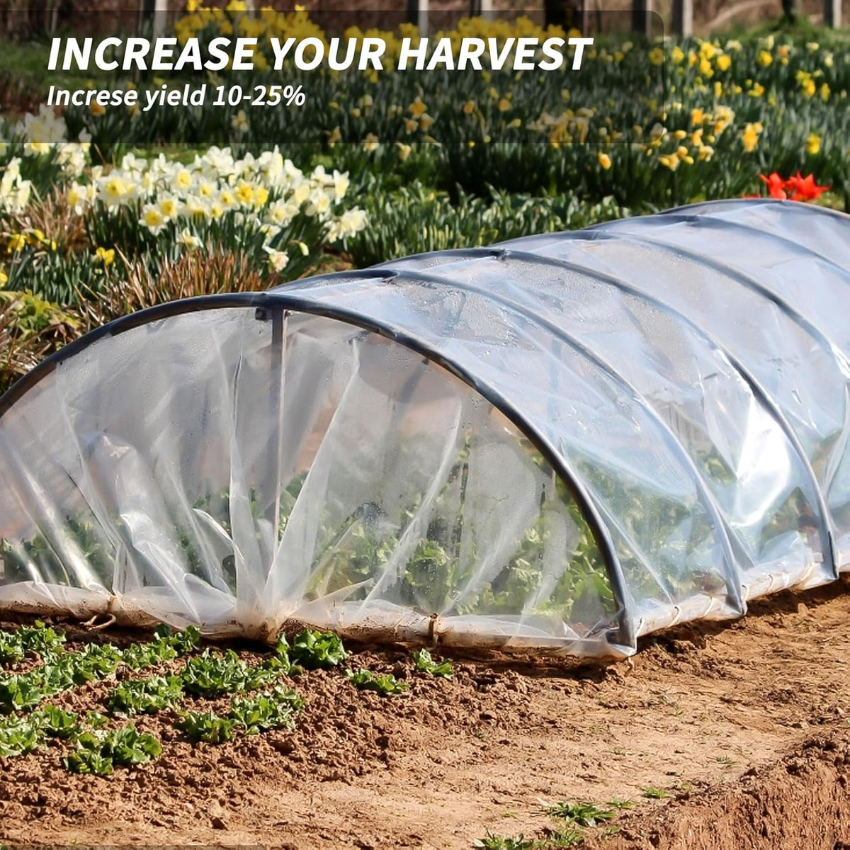 8x25 Ft Clear Greenhouse Film Plastic Sheeting, Greenhouse Polyethylene Plastic Film 6 mil Thickness Replacement Cover, UV Resistant, Plant Covers Freeze Protection for Windproof Frost& Dust Proof
