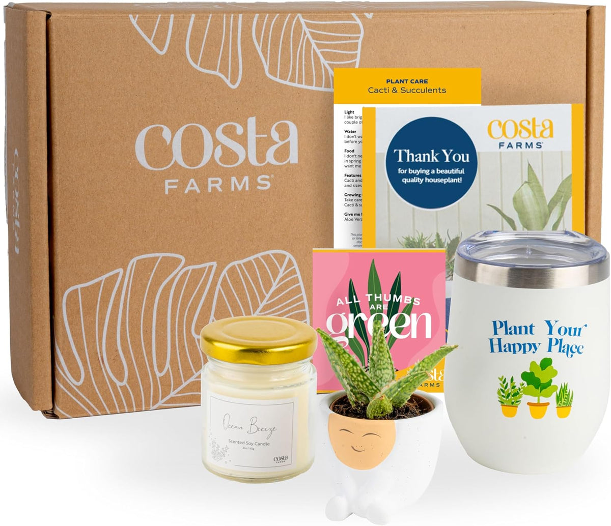 Costa Farms Live Plant Gift Box, Succulent Live Indoor Houseplant, Perfect Birthday and Holiday Gift, Includes Mini Succulent, Insulated Tumbler, Soy Candle, Collectible Sticker, Cute Room Decor