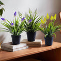 3 Pack Fake Small Plant in Pot Artificial Potted Flowers for Home Decor Fake Flower Plant Greenery Mini Faux Plant for Indoor Bedroom Living Room Office Shelf Bathroom Farmhouse Decor (Type 2)
