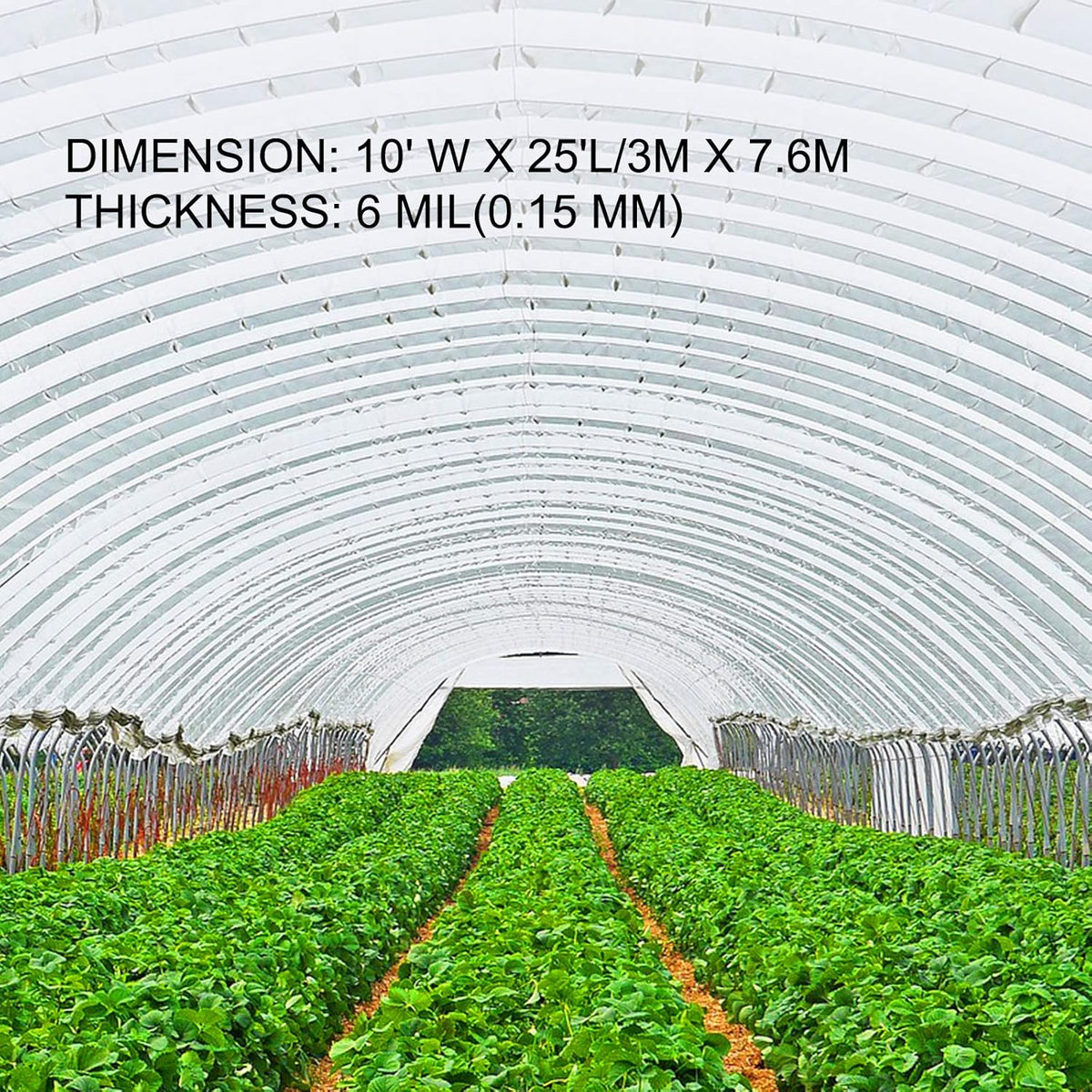 VEVOR Greenhouse Plastic Sheeting 10 x 25 ft, 6 Mil Thickness UV Resistant Clear Polyethylene Film, Hoop Green House Cover for Farms, Agriculture, Garden