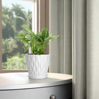 6 Inch Plant Pots, 6 Pack Indoor Flower Pots, Planters with Drainage Holes and Trays for Orchids, Violets, Succulents, Herbs, and Other Plants,White