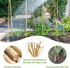 Plant Stakes 4.8FT, Natural Bamboo Stakes, HAINANSTRY 20Pcs Sturdy Bamboo Garden Stakes, Bamboo Sticks for Plants, Beans, Indoor and Outdoor Climbing Plants, Tomato Vegetable Stakes for Garden