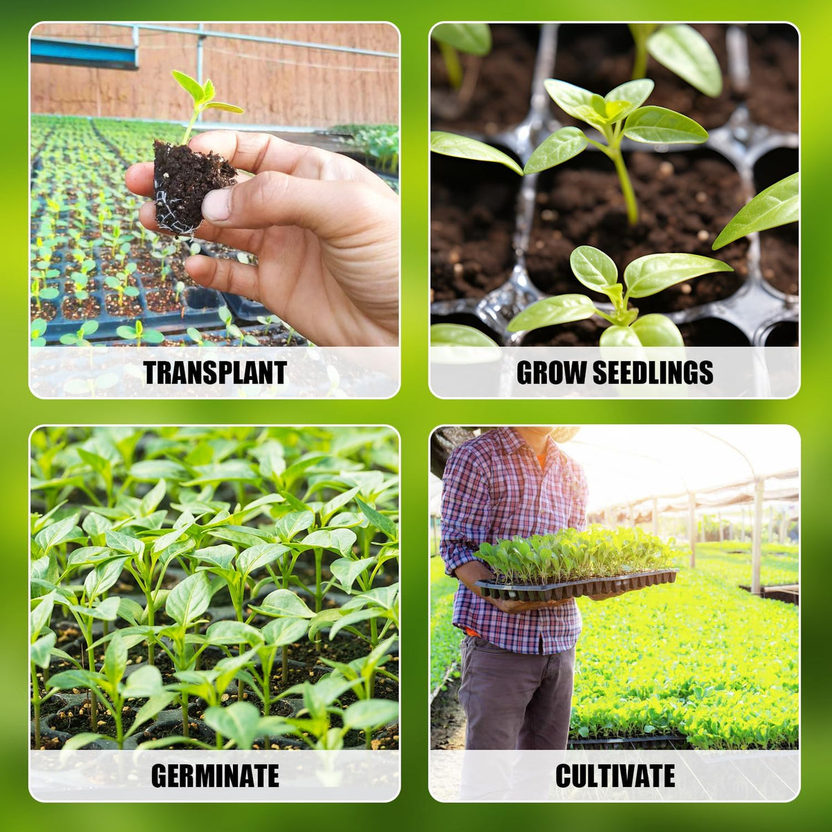 10Pcs 128 Cell Seed Starter Trays, Thick Durable Nursery 128 Cell Plug Tray Seedling Flat Plastic Shallow Tray for TD538 1020 Trays (21.26", 11.02", Deep 1.89"), GGBQ128