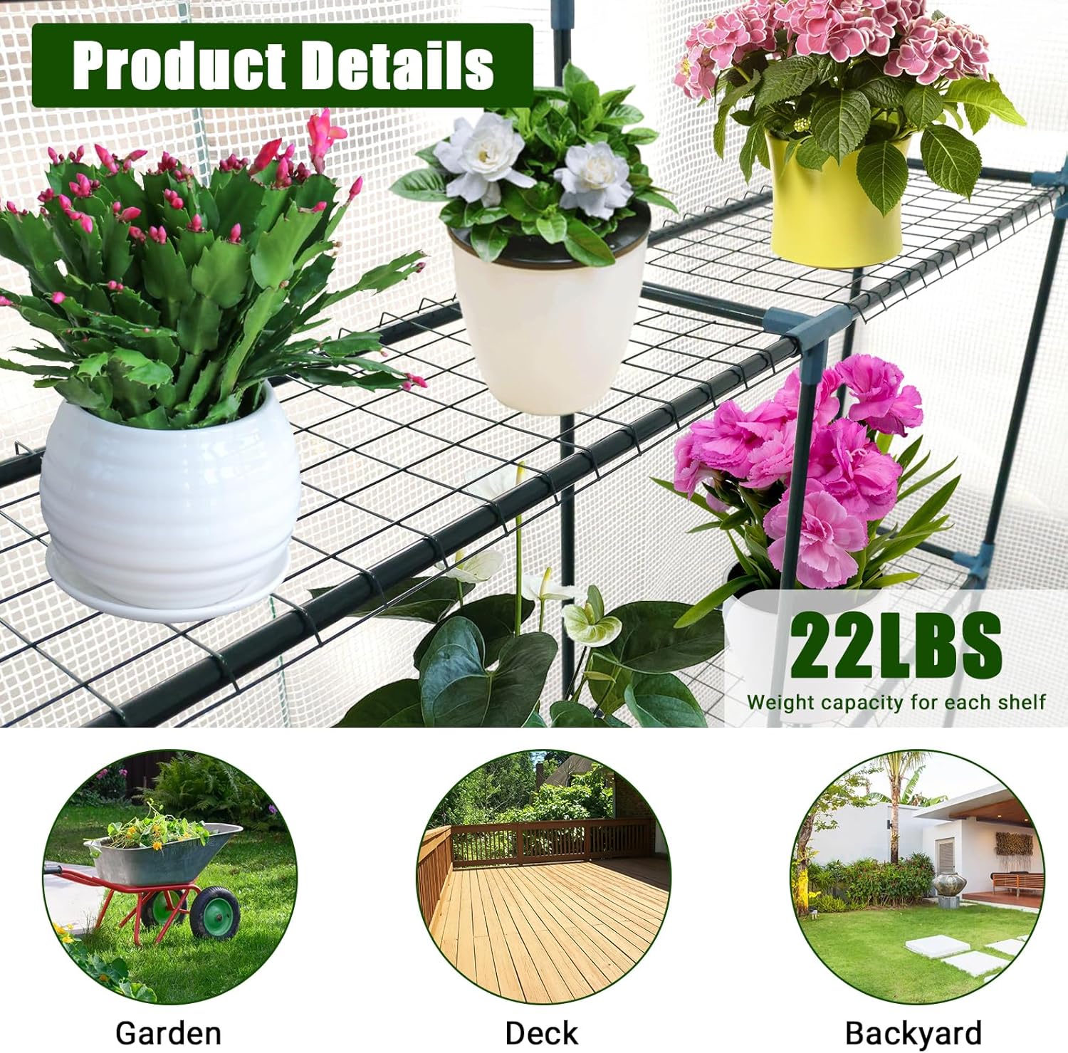 Greenhouse for Outdoors,Walk in 3-Tier 9 Shelves Green House w/ Roll-Up Zippered Door Anchors and Ropes,Waterproof & UV Protected Plant Garden Hot House for Garden Patio Backyard,57 x 85 x 76''