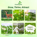 Outsidepride Perennial Clover King Seed Mix - 10 lbs Nitrocoated, Inoculated, Heat & Cold Tolerant, Alfalfa-Enhanced Food Plot Seeds for Deer & Wildlife, Ideal for Spring, Summer, & Winter Plots