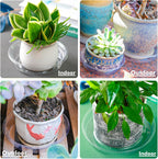 Plant Saucer 20 Pack Plant Trays for Pots 6 Inch Plastic Plant Saucers for Outdoors and Indoors Clear Drip Trays for Potted Plants Flower Pot Plates to Catch Water Plant Drainage Dishes No Holes