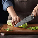Wakoli 8-inch Damascus Chef Knife - 67-Layer VG10 Core Steel, Razor Sharp Professional Kitchen Knife with Ergonomic Pakkawood Handle, for Slicing, Dicing & All Cooking Tasks - Gift Box (EDIB)