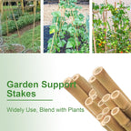 Bamboo Stakes 8FT, 8 Feet Natural Bamboo Plants Stakes, 1" D Thicker Heavy Duty Garden Stakes 10 Pack for Tomatoes, Beans, Flowers, Potted and More Climbing Plants