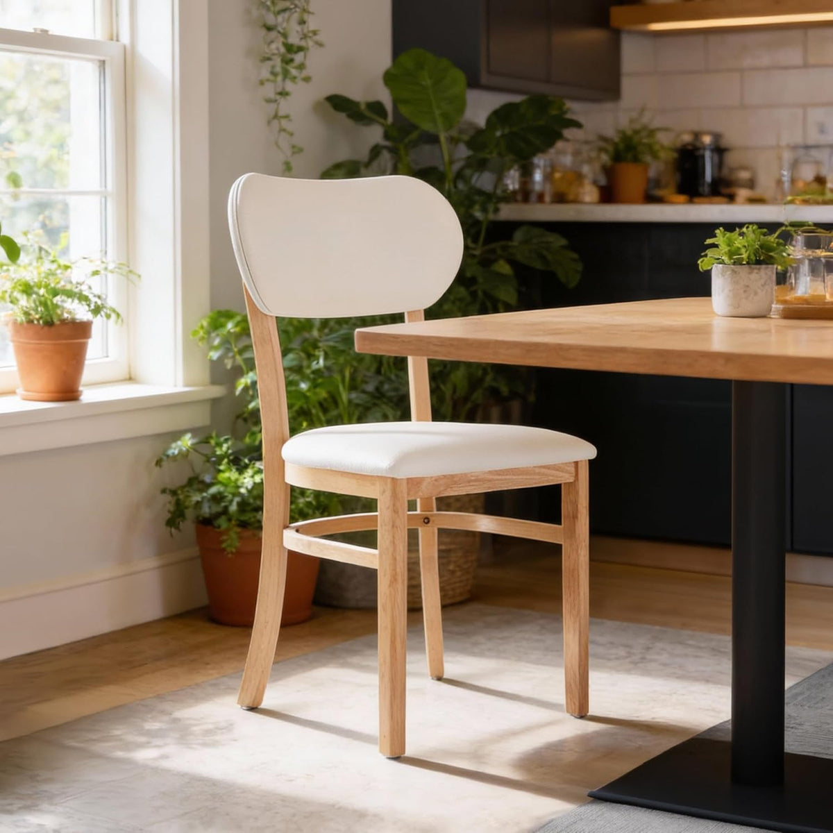 Livinia Tony Dining Chair Set of 2, Solid Malaysian Oak PU Leather Upholstered Cushion Seat, Rounded Back Side Chairs (Natural)