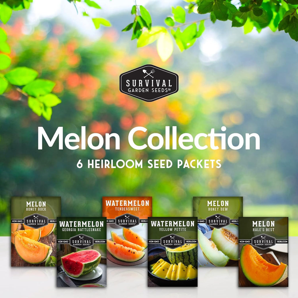 Melon Seeds Variety Pack – 6 Heirloom Cantaloupe, Honeydew & Watermelon Types for Planting – with Honey Rock, Hale’s Best, Tendersweet, Georgia Rattlesnake – Survival Garden Seeds
