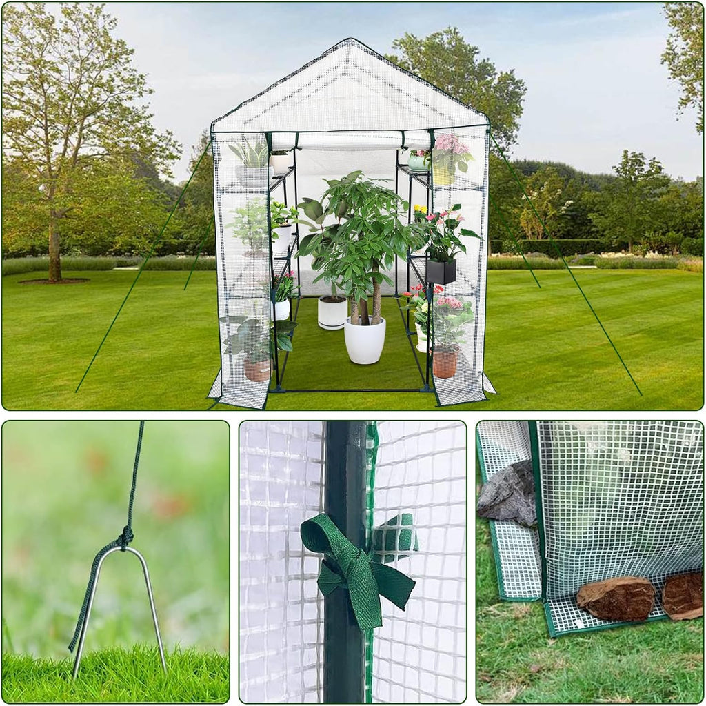 Greenhouse for Outdoors,Walk in 3-Tier 6 Shelves Green House w/ Roll-Up Zippered Door Anchors and Ropes,Waterproof & UV Protected Plant Garden Hot House for Garden Patio Backyard,57 x 57 x 76''