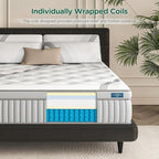 Lechpeus Twinxl Mattress,14 Inch Medium Plush Hybrid Mattress in Box,MDI Soft Memory Foam & 7-Zone Pocket Springs,Motion Isolation& Back Pain Relief,Enhanced Support Twinxl Bed,None Fiberglass