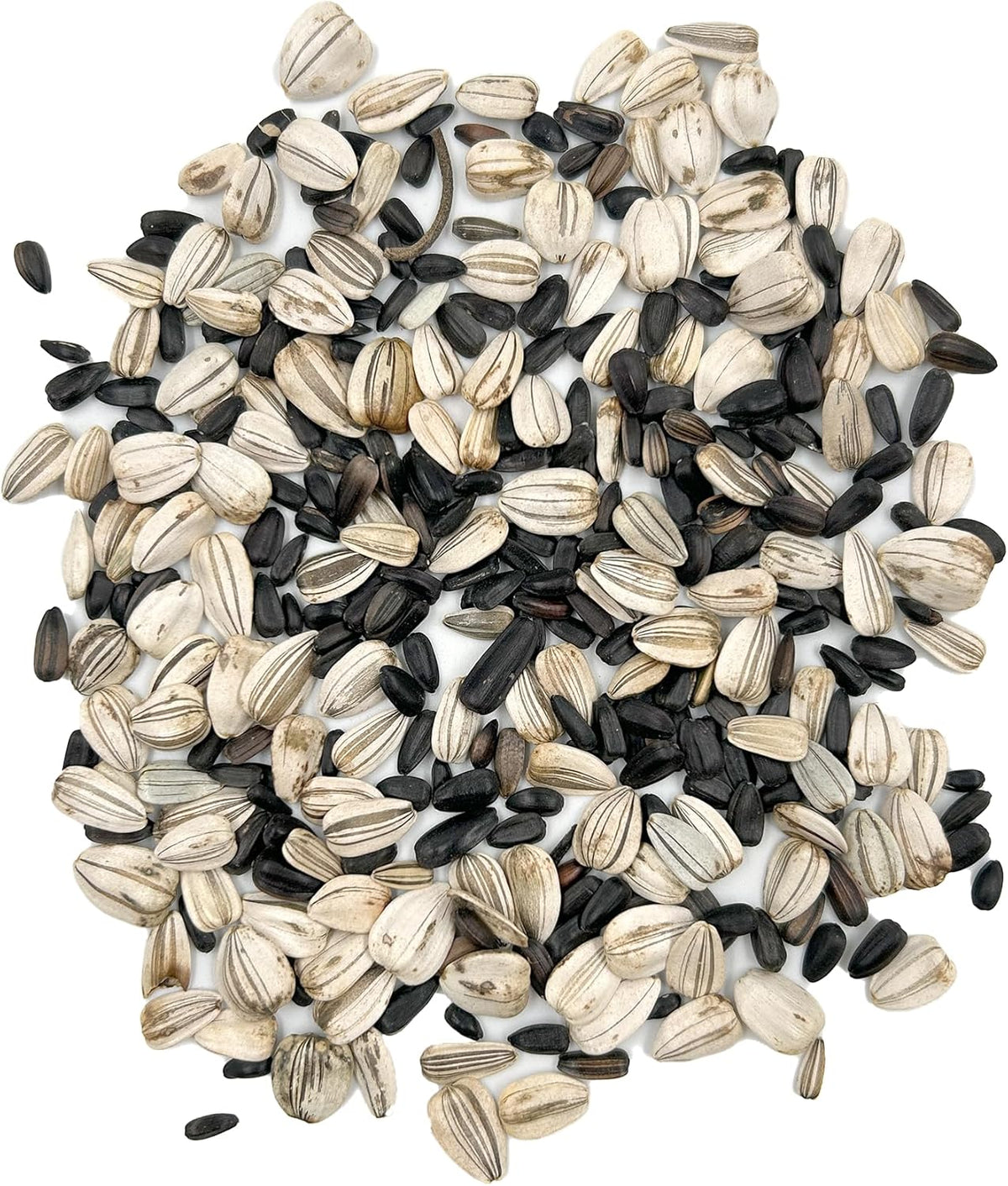 Ferry-Morse Sunsational Sunflower Bulk Flower Seeds, 1lb