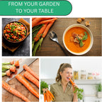 Woods Creek Seeds: Imperator 58 Carrot Seeds for Planting - Over 1,000 Heirloom Carrot Seed Pack - Non-GMO Carrots Seeds for Planting Outdoors or Indoors - Beginner Friendly Vegetable Gardening
