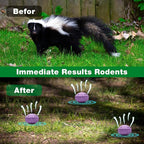 24 Pack Skunk Repellent Outdoor - Raccoon Repellent for Indoor Outdoor, Natural Peppermint Oil Skunk Rodent Safe for Pets & Kids Repels Skunk Raccoon
